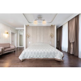 Люстра PADOVA 2хE27 370х145х230мм потолочная метал. бел. Ritter 52510 3