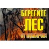 Знак "Берегите лес от огня!" 1200х800мм EKF zn-1-02