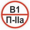 Знак "Категории помещения по взрывопожарной и пожарной опасности В1 П-IIа" 200х200мм пластик EKF pn-