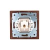 Розетка компьютерная 1-м СП Mira RJ45 16А IP20 вишня LEZARD 701-0601-139