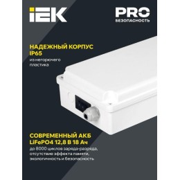 Блок аварийного питания БАП120-1.0 универс. для LED IP65 IEK LLVPOD-EPK-120-1H-U