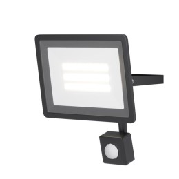 Прожектор с датчиком движения Flood 30Вт 6500К 110град. IP65 Maytoni FL001-L30B6KSR