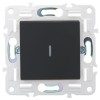Выключатель 1-кл. SKANDY 10А SK-V07G с индикацией графит IEK SK-V10-1-10-K53