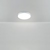 Светильник Sprida 80Вт IP20 потолочн. Freya FR6129CL-L80GR