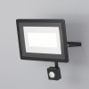 Прожектор с датчиком движения Flood 50Вт 6500К 110град. IP65 Maytoni FL001-L50B6KSR