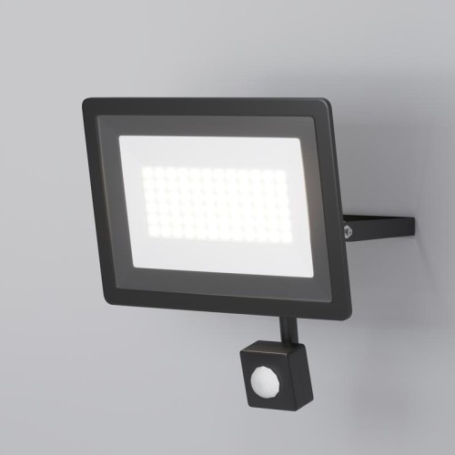 Прожектор с датчиком движения Flood 50Вт 6500К 110град. IP65 Maytoni FL001-L50B6KSR