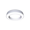 Светильник светодиодный ДСО32-80-201 Ring 840 Ардатов 1259480201