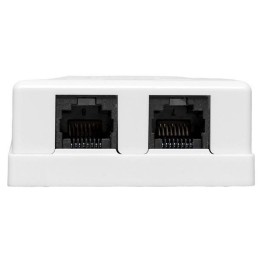 Розетка настенная TERACOM кат.5E неэкранированная 2 порта RJ-45 Dual IDC бел. EKF TRC-WBOX-2RJ45-5EU
