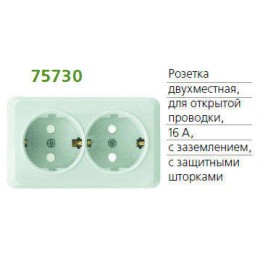 Розетка 2-м ОП Fazenda 16А IP20 250В с заземл. защ. шторки бел. POWERMAN 1162271