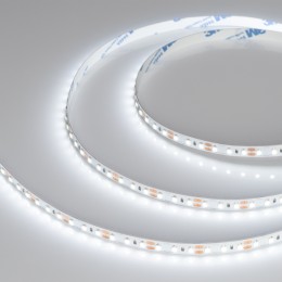 Arlight Лента NT-A120-8mm 12V White6000 (9.6 W/m, IP20, 3528, 5m) (Открытый)