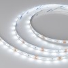 Arlight Лента NT-A60-8mm 12V White6000 (4.8 W/m, IP20, 3528, 5m) (Открытый)