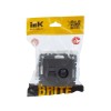 Розетка компьютерная + телевизионная 2-м Brite РТВ/РК12-БрС RJ45 кат.5E + TV механизм сталь IEK BR-A