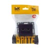 Розетка компьютерная двойн. СП RJ45 кат.5E BRITE РК10-2-БрЧ механизм черн. IEK BR-K20-1-K02