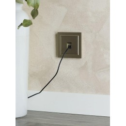 Розетка компьютерная СП RJ45 кат.5E BRITE РК10-БрШ механизм шампань IEK BR-K10-1-K37