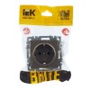 Розетка BRITE РС14-1-0-БрШ 16А с заземл. защ. шторки механизм шампань IEK BR-R14-16-K37