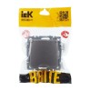 Розетка BRITE РСбш10-3-44-БрС 16А IP44 с заземл. защ. шторки с крышкой механизм сталь IEK BR-R16-16-