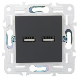 Розетка USB A+A 3.1А SKANDY SK-R15G графит IEK SK-U21-D31-K53