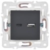 Розетка USB A+C 18Вт SKANDY SK-R13G графит IEK SK-U22-018-K53