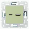 Розетка USB A+C 18Вт SKANDY SK-R13G мятный IEK SK-U22-018-K06
