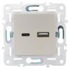 Розетка USB A+C 18Вт SKANDY SK-R13Sh шампань IEK SK-U22-018-K37