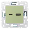 Розетка USB A+C 3.1А SKANDY SK-R14G мятный IEK SK-U22-D31-K06