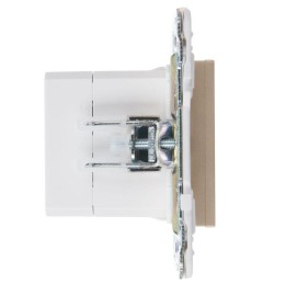 Розетка USB A+C 3.1А SKANDY SK-R14Sh шампань IEK SK-U22-D31-K37