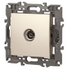 Розетка телевизионная одиночная TV 1мод. Elegance 14-3101-04 IP20 шампань Эра Б0034293