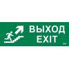 Этикетка самоклеящаяся 280х100мм "Выход/лестница вверх/фигура" IEK LPC10-1-28-10-VLVVF