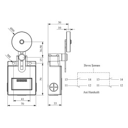Выключатель концевой реверсивный ролик 2НО+2НЗ EMAS L54K16MEL122