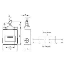 Выключатель концевой однонаправленный ролик 2НО+2НЗ EMAS L54K16MIP311