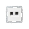 Розетка компьютерная двойн. СП RJ45 кат.6 BRITE РК11-2-БрБ механизм бел. IEK BR-K20-2-K01