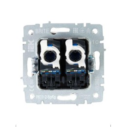 Розетка компьютерная двойн. СП RJ45 кат.6 BRITE РК11-2-БрКр механизм беж. IEK BR-K20-2-K10