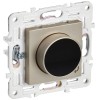 Термостат электронный SKANDY SK-T01Sh с индикацией шампань IEK SK-RT11-K37