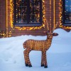 Фигура светодиодная акриловая "Бурый олень" 78х100см 380LED бел. 6Вт 24В IP65 понижающ. трансф. в ко
