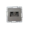Розетка компьютерная двойн. СП RJ45 кат.6 BRITE РК11-2-БрС механизм сталь IEK BR-K20-2-K46