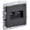 Розетка компьютерная двойн. СП RJ45 кат.6 BRITE РК11-2-БрГ механизм графит IEK BR-K20-2-K53