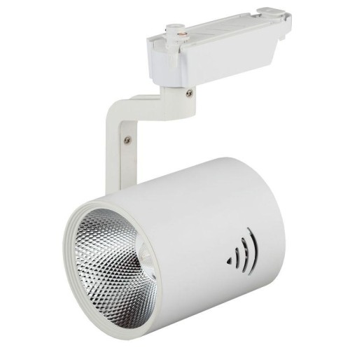 Светильник трековый TR1-30 30Вт COB 1ф WH бел. Эра Б0032099