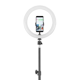 Светильник светодиодный KD-810F C02 10Вт напольный кольцевая подставка для смартфона на штативе черн