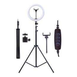 Светильник светодиодный KD-810F C02 10Вт напольный кольцевая подставка для смартфона на штативе черн