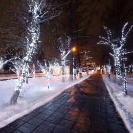 Гирлянда светодиодная "LED ClipLight" шаг 15см 665LED бел. 80Вт 12В IP65 провод ПВХ прозр. (уп.100м)