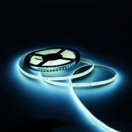 Лента светодиодная Black 2835/120-SMD 6.5Вт/м 5000К холод. бел. IP65 600лм/м 24В (блист.5м) GAUSS 31