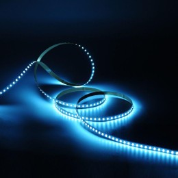 Лента светодиодная Black 2835/120-SMD 6.5Вт/м 5000К холод. бел. IP20 600лм/м 24В (блист.5м) GAUSS 31