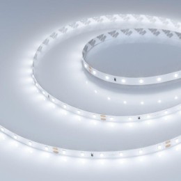 Лента светодиодная RT-A60-8mm 24V Cool 8000К 4.8Вт/м IP20 2835 открыт. (уп.5м) Arlight 016147(2)