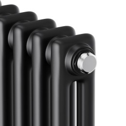 Радиатор дизайн Insignia C2180 8 секц. RAL9005m Royal Thermo НС-1631209