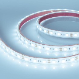 Лента светодиодная RTW-PFS-B60-13mm 12V Cool 10К 14.4Вт/м IP68 5060 герметичная (уп.5м) Arlight 0364
