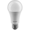 Лампа светодиодная 90 406 OLL-A60-21-230-6.5K-E27 (PRO 90-240В) ОНЛАЙТ 90406