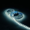 Лента светодиодная Basic 5050/60-SMD 8Вт/м 4000К нейтр. бел. IP20 900лм/м 12В 10мм (уп.2м) GAUSS BT0