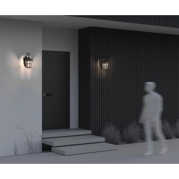 Светильник Albion 1х60Вт E27 IP44 бра настен. Maytoni O413WL-01BZ