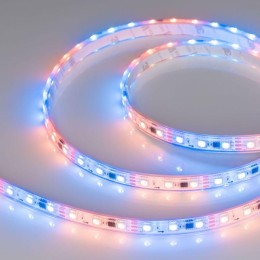 Лента светодиодная SPI-PFS-B60-12mm 12V RGB-PX3 14.4Вт/м IP68 5060 герметичная бегущий огонь (уп.5м)
