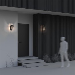 Светильник Albion 1х60Вт E27 IP44 бра настен. Maytoni O413WL-01BZ1